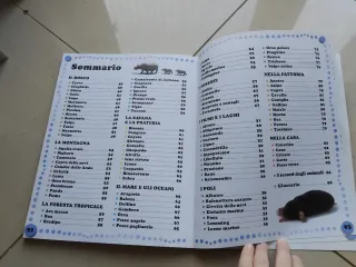 Il mondo degli animali