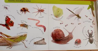 Las estaciones (Gira-gira) (Spanish Edition)