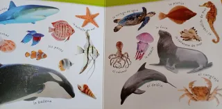 Las estaciones (Gira-gira) (Spanish Edition)