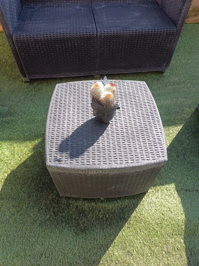 Conjunto de muebles de jardín