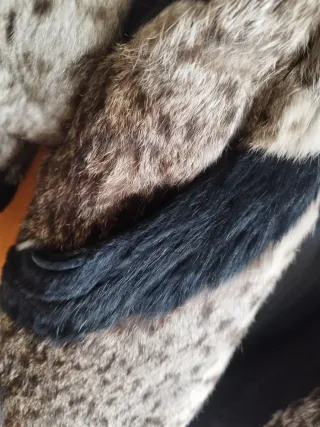 Abrigo Piel Conejo Animal Print Talla M/L
