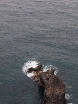 Olympus Cámara Digital y Accesorios