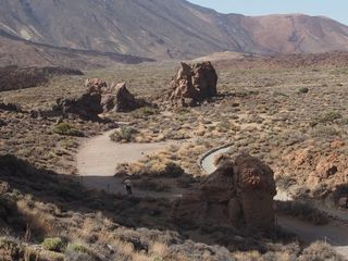 Olympus Cámara Digital y Accesorios