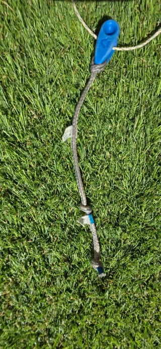 Cometa Kitesurf Duotone 10m