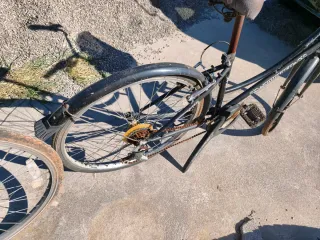 2Bicicletas  Paseo Inglesa las 2 80 euros