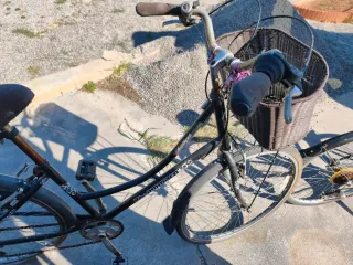 2Bicicletas  Paseo Inglesa las 2 80 euros
