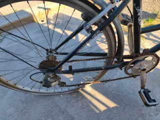 2Bicicletas  Paseo Inglesa las 2 80 euros