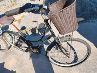 2Bicicletas  Paseo Inglesa las 2 80 euros