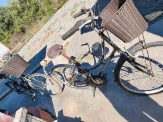 2Bicicletas  Paseo Inglesa las 2 80 euros