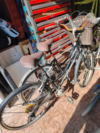 2Bicicletas  Paseo Inglesa las 2 80 euros