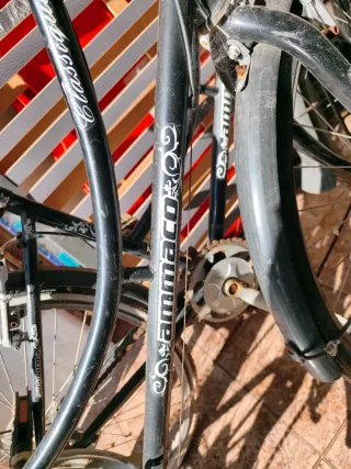 2Bicicletas  Paseo Inglesa las 2 80 euros