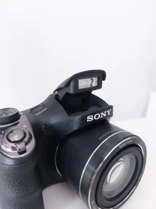 Sony DSC-H300 Cámara Digital Negra