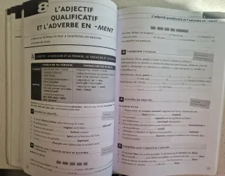 Exercices d Grammaire en Contexte: Niv. Intermedia