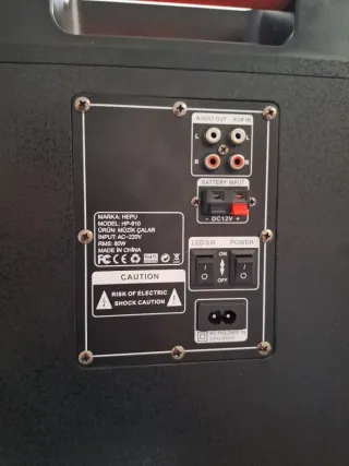 Altavoz Grande con Luces y Micrófonos