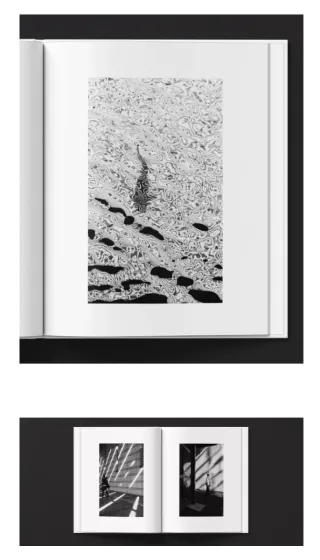 2 fotolibros KAMI BOOKS: KATASUMI y JIKO KYOKAI