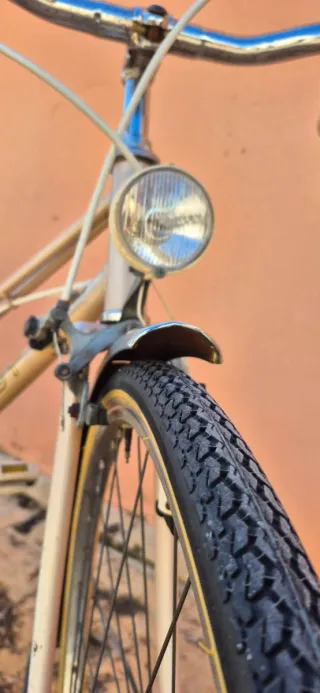 Bicicleta Paseo Torrot Vintage