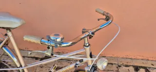 Bicicleta Paseo Torrot Vintage