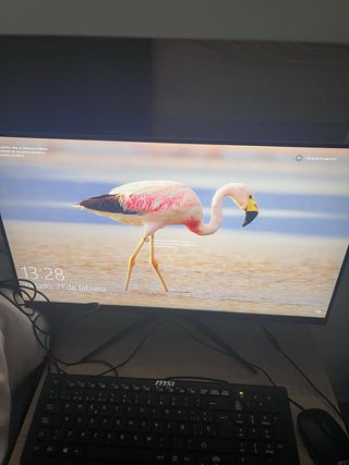 PC All-in-One MSI Windows Intel Negro