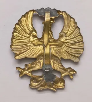 Insignia Águila San Juan Cruz Santiago Ejército