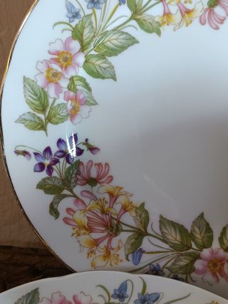 Tetera y 8 Platos Paragon Country Lane