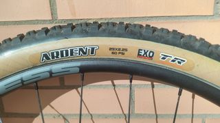Ruedas Progress Dyn 29 MTB + cubiertas MAXXIS