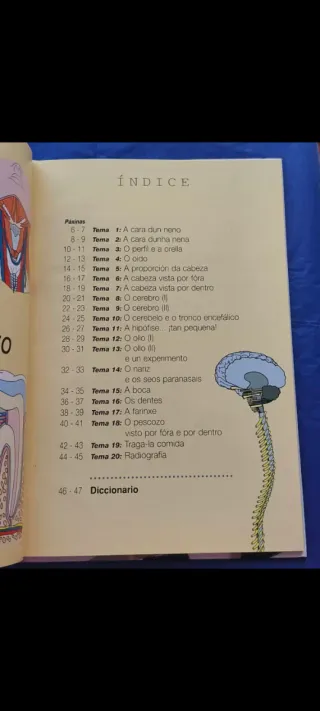 O corpo humano. Cabeza e pescozo. Educativo.