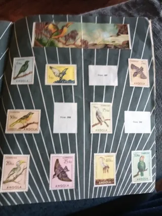 Álbum La Naturaleza y el Sello 1956