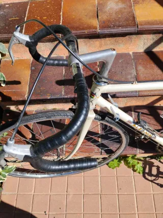 Bicicleta Alazania Clásica