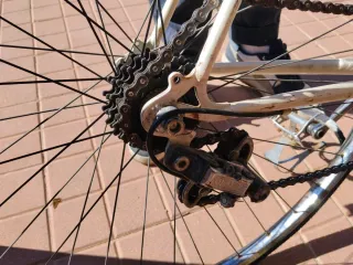 Bicicleta Alazania Clásica