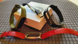 Xiaomi Mi Band 2 + 3 pulseras