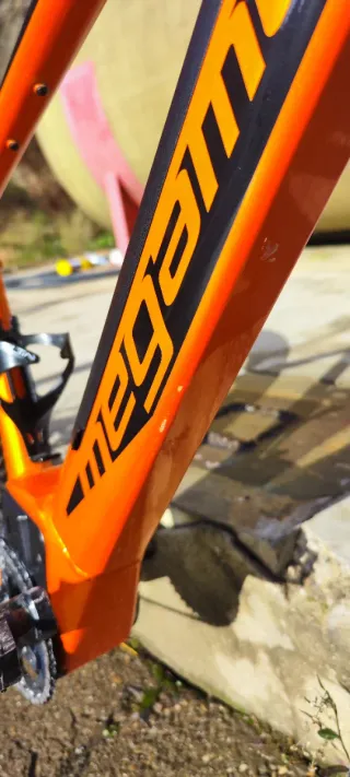 Megamo Ridon 10 29 Talla M.