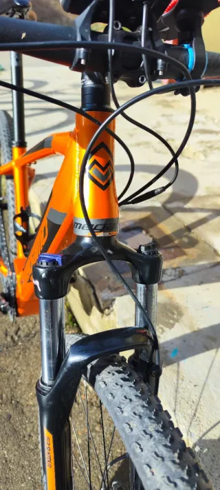 Megamo Ridon 10 29 Talla M.