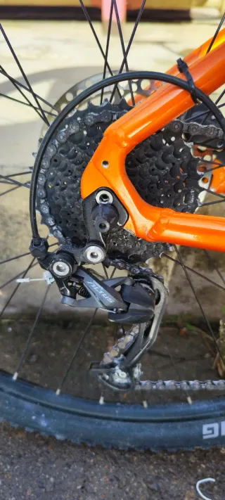 Megamo Ridon 10 29 Talla M.