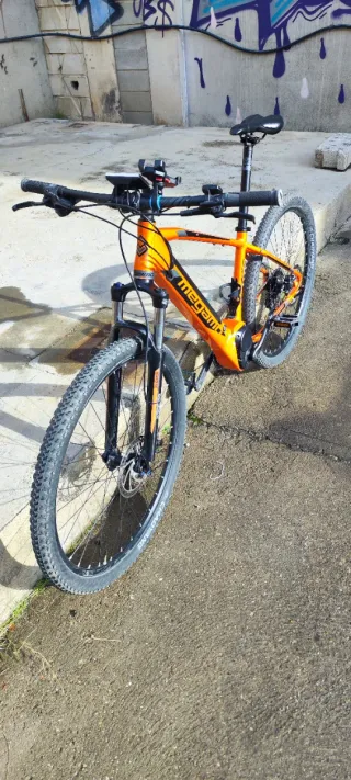 Megamo Ridon 10 29 Talla M.