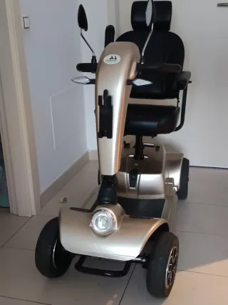 Scooter Eléctrico Cruiser - Autonomía Premium