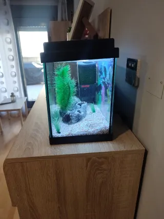 Acuario completo instrucciones y accesorios