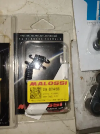 Recambios Malossi Minarelli horizontal