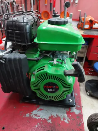 Moto-bomba fanton PB825