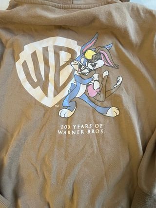 Felpa Warner Bros 100 anni S/M marrone