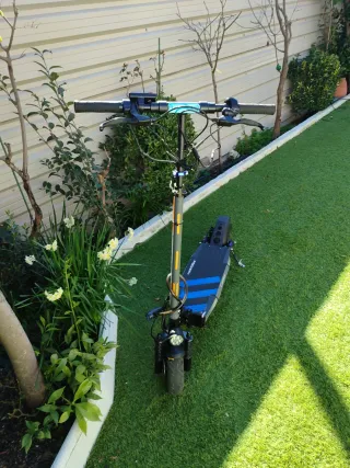 Patinete Eléctrico Speedway Smart Giro