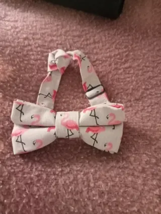 Traje de novia san Patrick, velo y camcam, zapatos