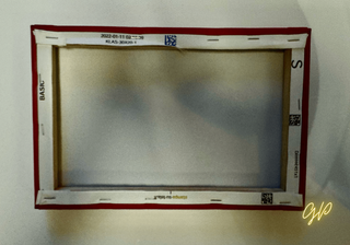 Quadretto cuore anatomico rosso/verde - Tela 20x30