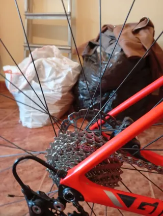 Trek de Montaña Carbono