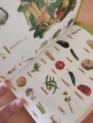 Horizon - Diccionario Didactico De Ingles