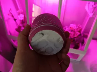 Vasi rosa con design a cuori