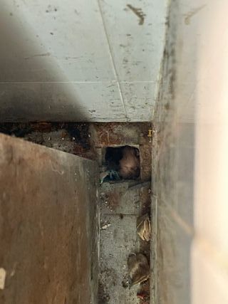 Armario Cocina Industrial 162cm Acero Inoxidable