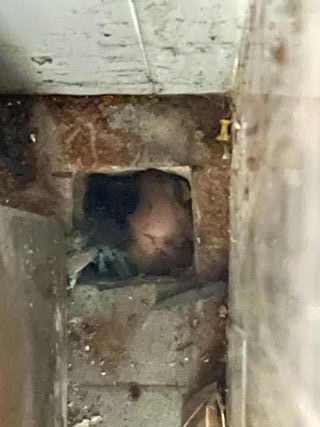 Armario Cocina Industrial 162cm Acero Inoxidable