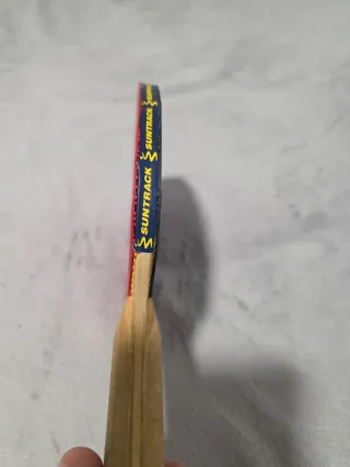 Raqueta de ping pong