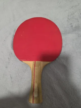 Raqueta de ping pong