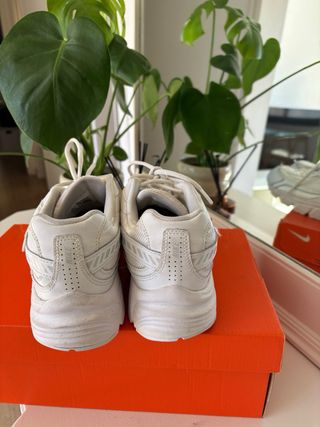 Zapatillas Nike Blancas y Plateadas